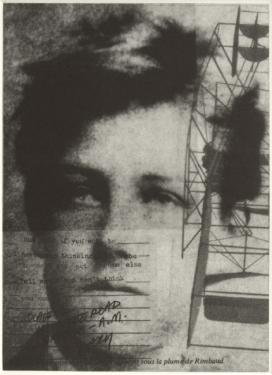  STUDY OF SKIN- RIMBAUD  