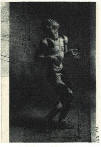 Nizinskii - あるいは水の鳥籠