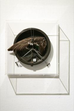 ヴェネツィア滞在時におけるアルブレヒト・デューラーに関する五つの謎