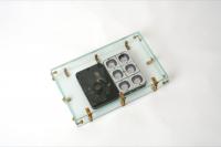 ダリオ卿に扮した男のいとも高貴なる右腕