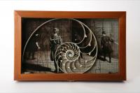 ダリオ館の中を飛翔した七匹の蝶の見えない軌跡