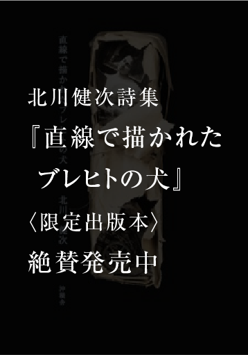北川健次詩集『直線で描かれたブレヒトの犬』